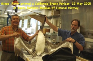 Peter Boyle and Mineo Yamamoto at a fish printing workshop